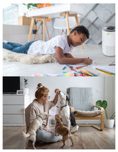 Load image into Gallery viewer, Air Purifier 15W with HEPA-Type Filter (Room size: 161 Sq. Ft)