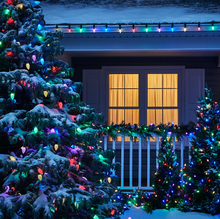Load image into Gallery viewer, Multicolor Holiday LED String Lights
