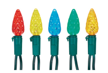 Load image into Gallery viewer, Multicolor Holiday LED String Lights
